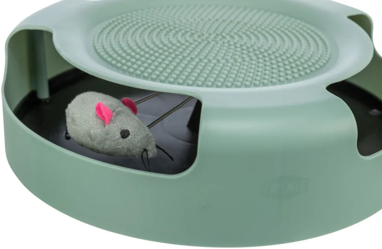Catch the Mouse